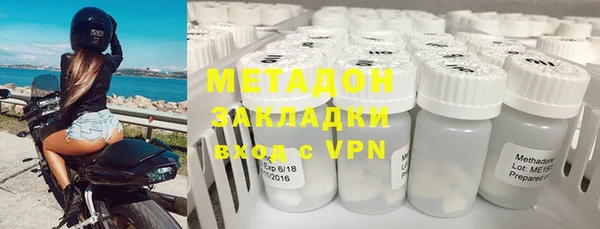 стаф Алзамай