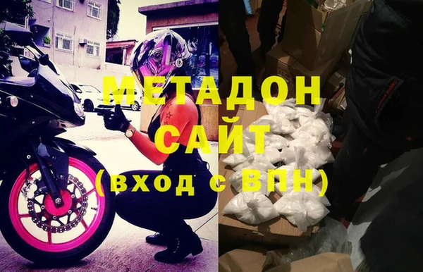 стаф Алзамай