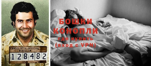 шишки Алексин