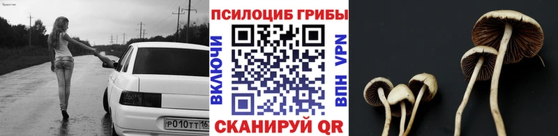 Галлюциногенные грибы прущие грибы  Сурск 